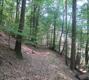 Westwallweg Oberotterbach