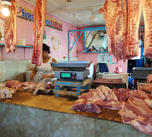 Land und Leute Safari