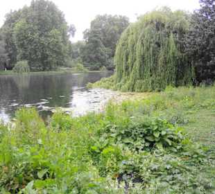 St. James´s Park Impressionen