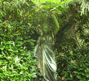 Кладбище Ольсдорф, Гамбург, 16 сентября 2013 года