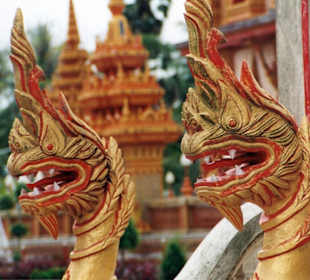 Thailand Phuket Wat Chalong Tempeldrachen