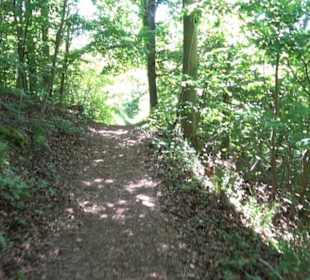 Wanderweg Sieben-Täler-Runde 