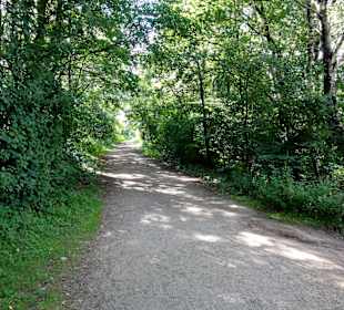 Auf dem Rundweg um den Dammer Bergsee
