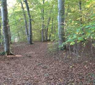 Wanderung Felsen Sankt Johann