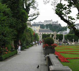 Blick vom Schloss auf die Burg