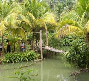 Insel in der Catfish Farm