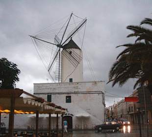 Molino