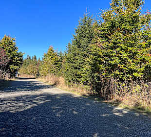 Wandern in Willingen am Ettelsberg