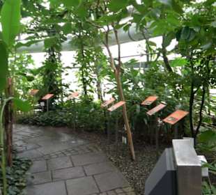 Tropicarium