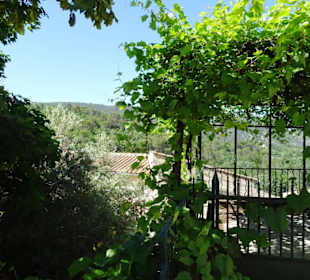 Impressionen aus der Altstadt von Bonnieux