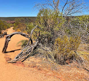 Kalbarri Nationalpark