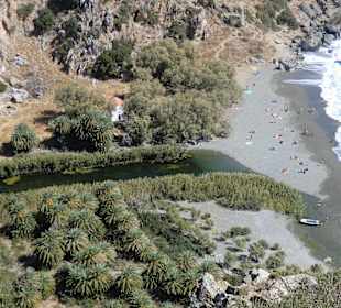 Blick auf den Palmenstrand