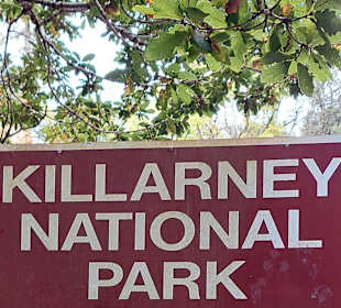 Killarney National Park