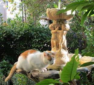  Kloster Paleokastritsa