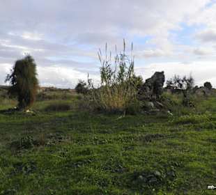 Auf dem Weg ins Ausgrabungsfeld