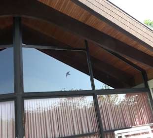 Friedhof Horb am Neckar