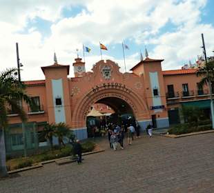 Mercado "Nuestra Senora de Africa"