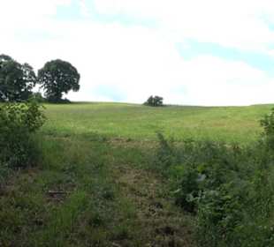 Premiumwanderweg "hochgehackert"