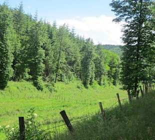 Biosphärenreservat Nordelsaß