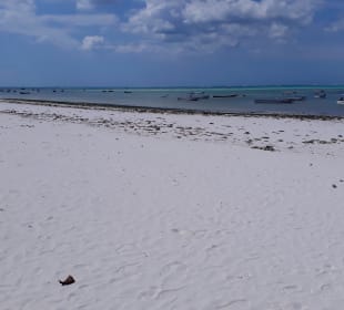 Strand vorm Rock Restaurant