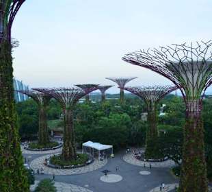 Gardens by the Bay