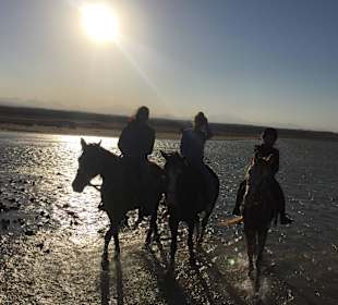 Ausritt in den Sonnenuntergang