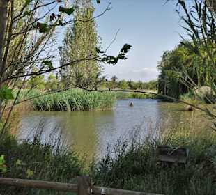 Im Vogelschutzgebiet des Parc de la Prade