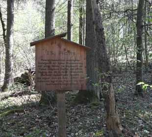 Waldlehrpfad an der Lauter