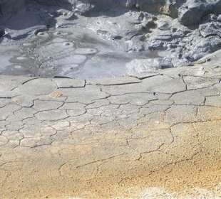 Ruhiger Schlammtümpel