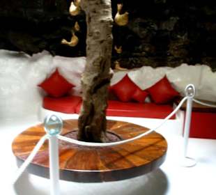 Genial gemacht. Hut ab Cesar!