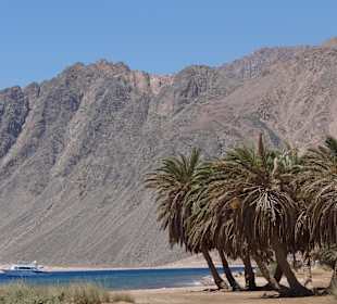 Dzika plaża za hotelem Happy Life Village