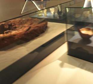 Rheinisches Landesmuseum 