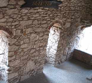 Zamek Wilcza Szczęka - OGRODZIENIEC