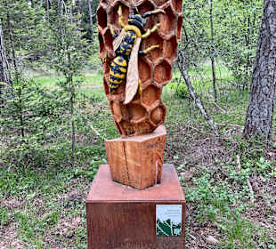 Wandern Coredo
