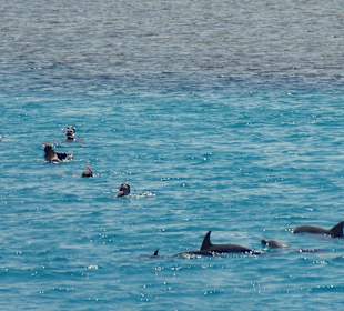 So nah bei der Gruppe