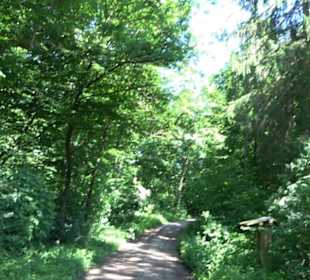 Eduard Lucas Musterobstgarten Mähringen