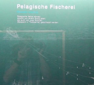 Meeresmuseum Stralsund