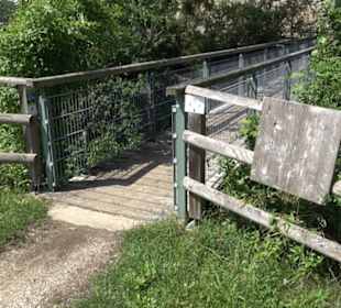 Burgruine Niederhaus