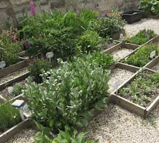 Benediktinerkloster Lorch