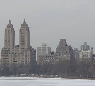 Kapitalny widok z Central Parku
