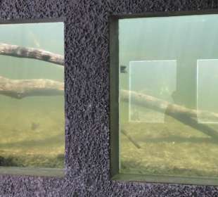 Unterwasserbeobachtungsstation