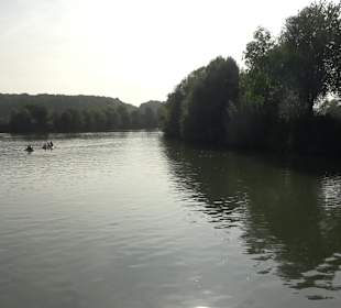 Wanderung zur Burgruine Liebenau