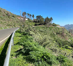 Inselrundfahrt Gran Canaria