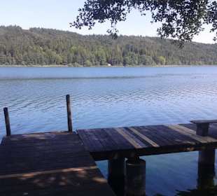 Badesteeg Tachinger See