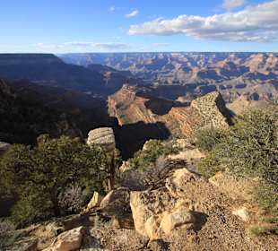 Grand Canyon N.P.
