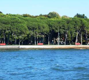 Giardini della Biennale