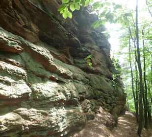 Felsenweg auf dem Lachberg