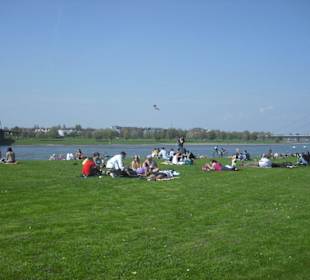 Rhein Promenade
