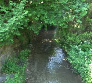 Historischer Rundweg Gönningen