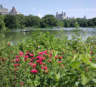 Central Park, Manhattan, New York City.